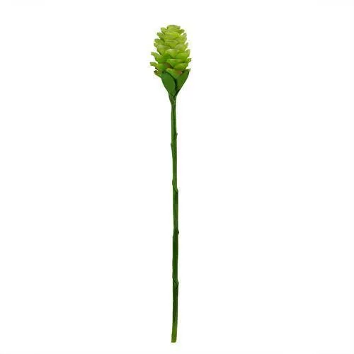 28" Light Green Artificial Ginger Flower Decorative Floral Crafting Stem